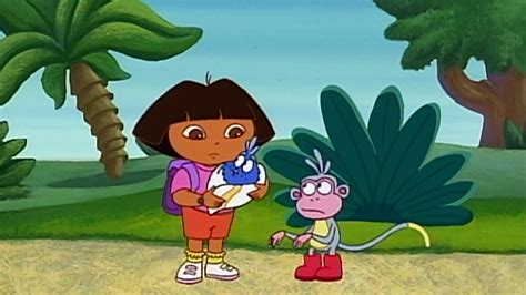 dora the explorer season 1|dora the explorer watchcartoononline.